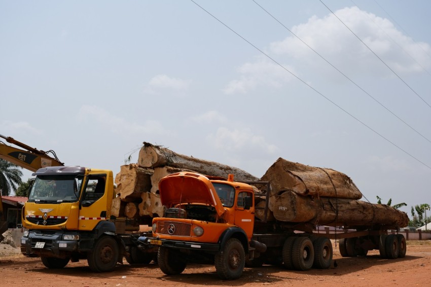 a large truck hauling logs on a dirt road Ad