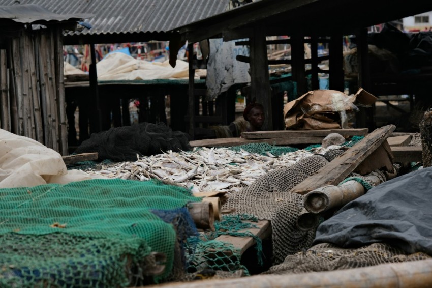 a pile of fish sitting next to a building