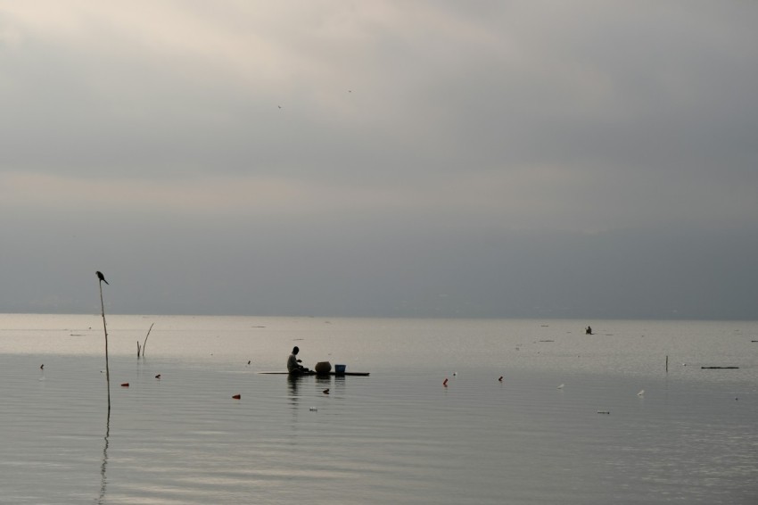 a person in a small boat on a large body of water