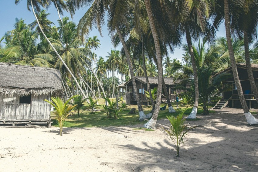 a hut on a beach with palm trees