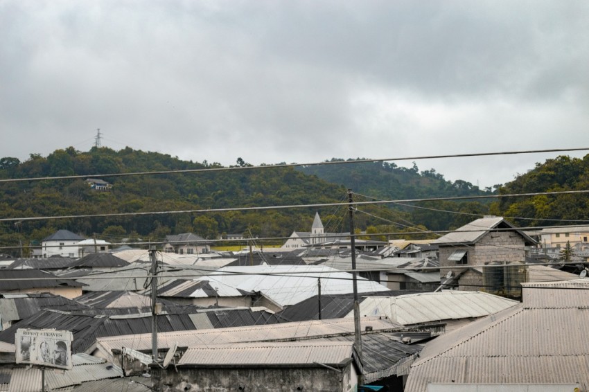 a group of houses with trees in the background