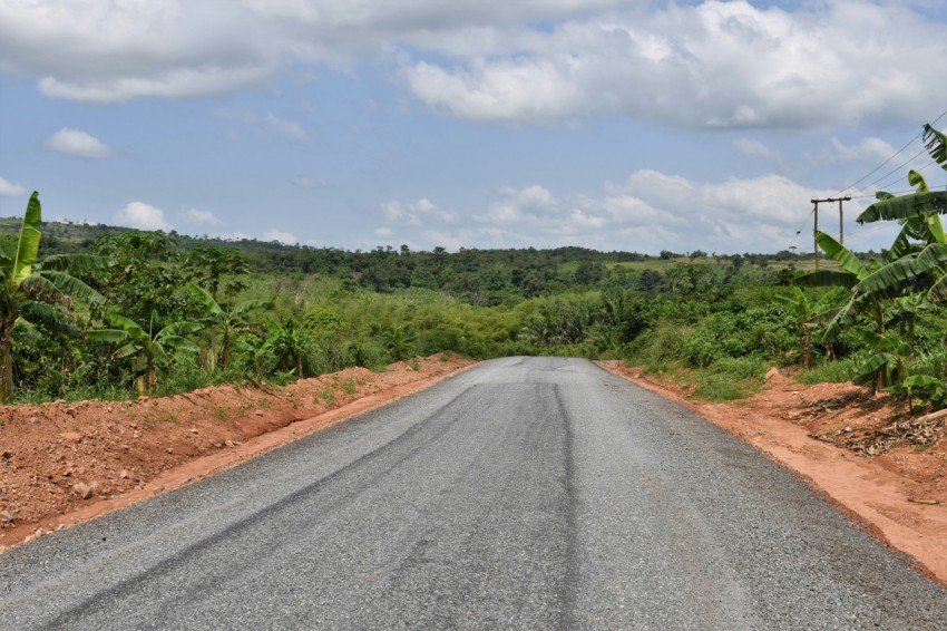 an empty road in the middle of a jungle