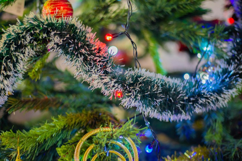 green pine tree with red and blue baubles