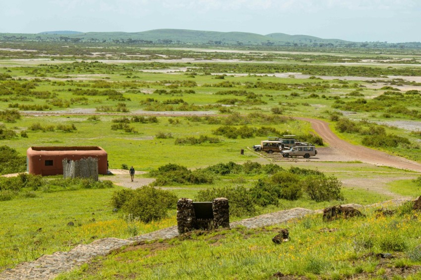 a large open field with a dirt road W4r