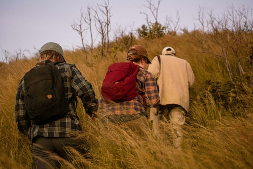 a group of people walking through tall grass