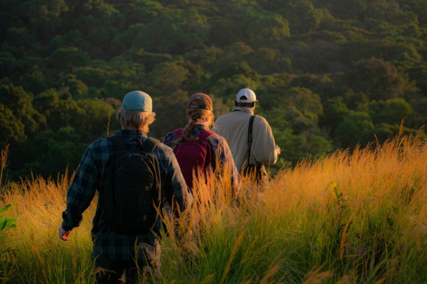 a group of people walking through tall grass