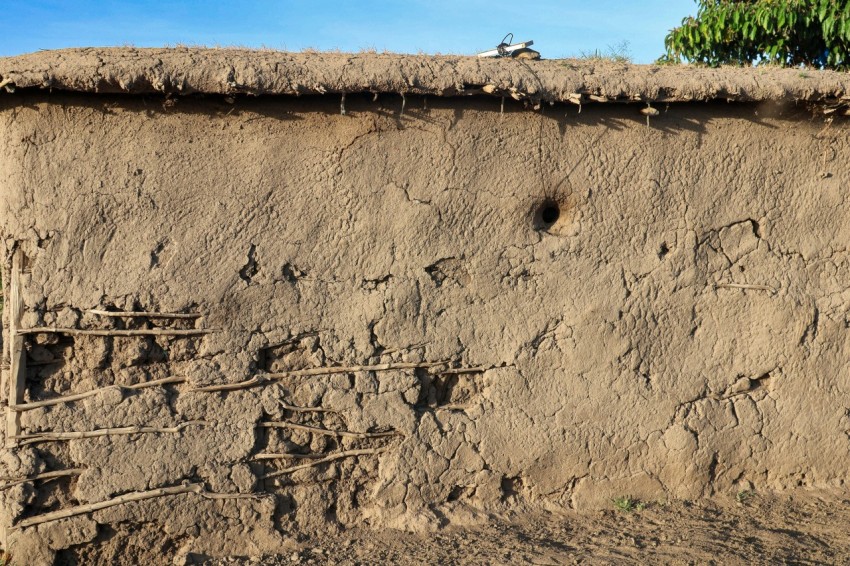 a wall made of mud with birds perched on top of it