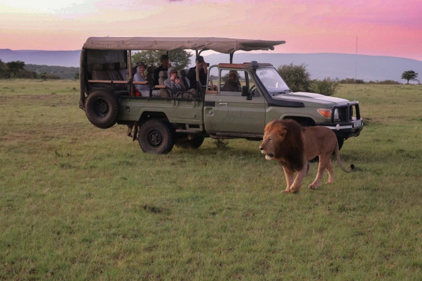 a group of people riding in the back of a truck