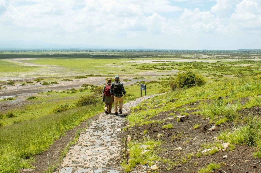 a couple of people that are walking up a hill