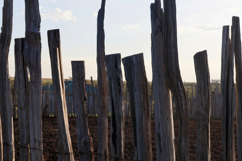 a fence made of wood with a sky in the background