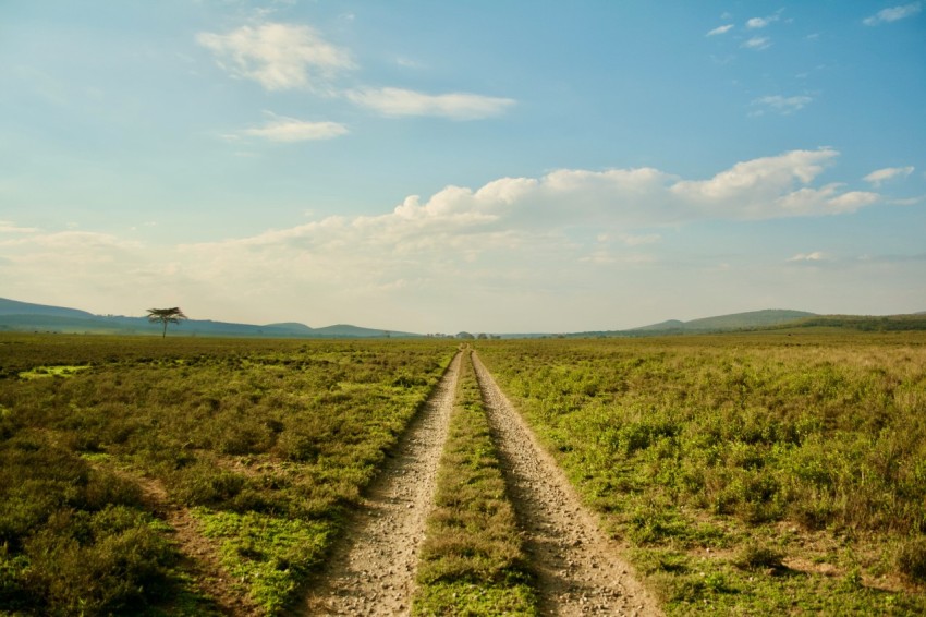 a dirt road in a field