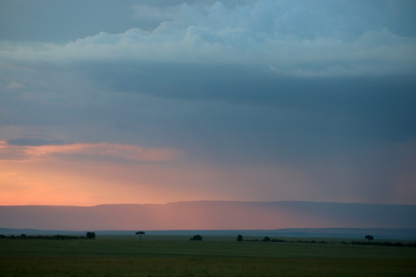 the sun is setting over a field of grass