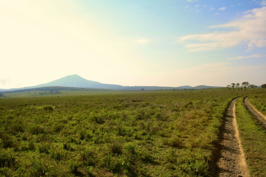 a dirt road through a field