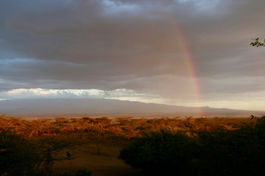 a rainbow in the sky over a field kinQrJDqI