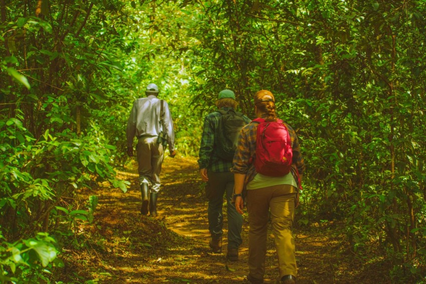 a couple of people that are walking in the woods