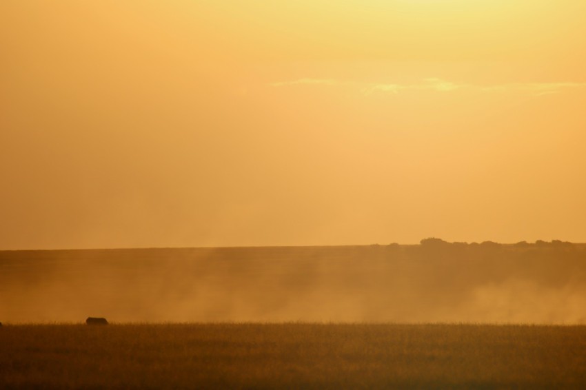 brown field under white sky during daytime