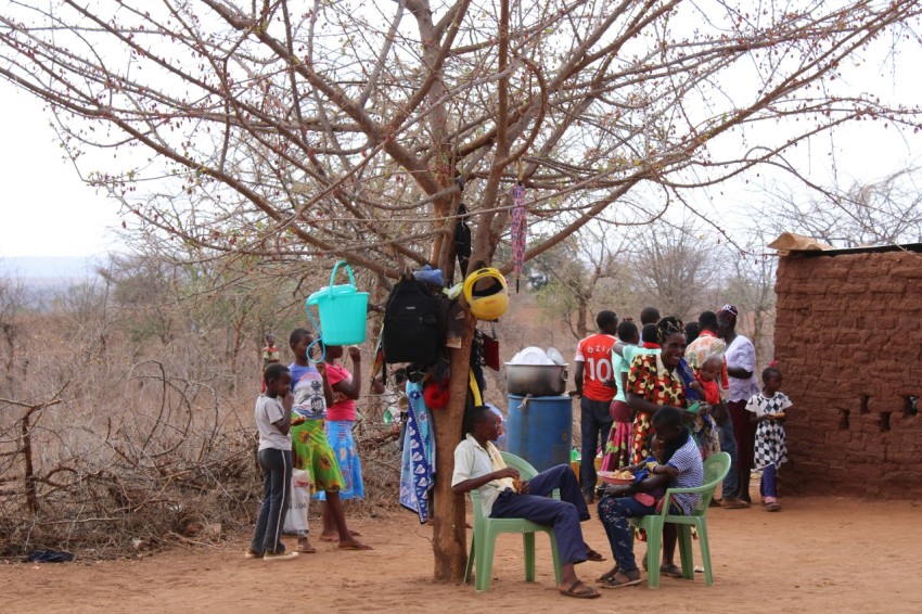 a group of people standing around a tree