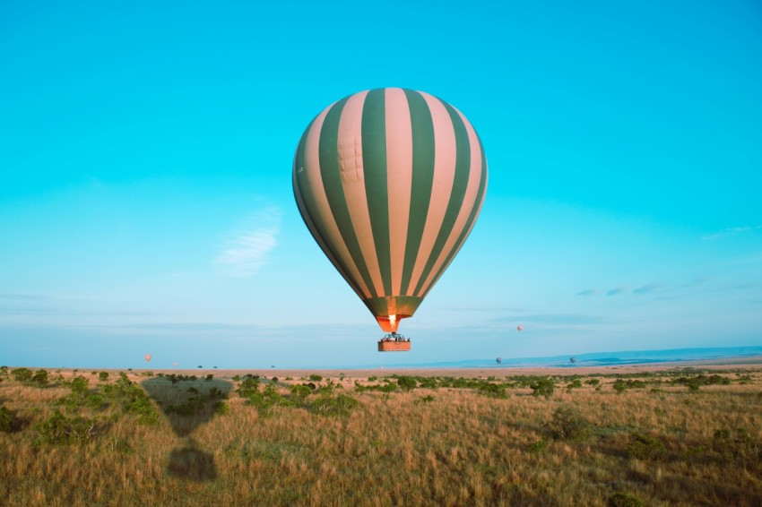 a hot air balloon in the air