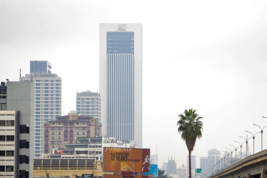 a city skyline with a palm tree in the foreground