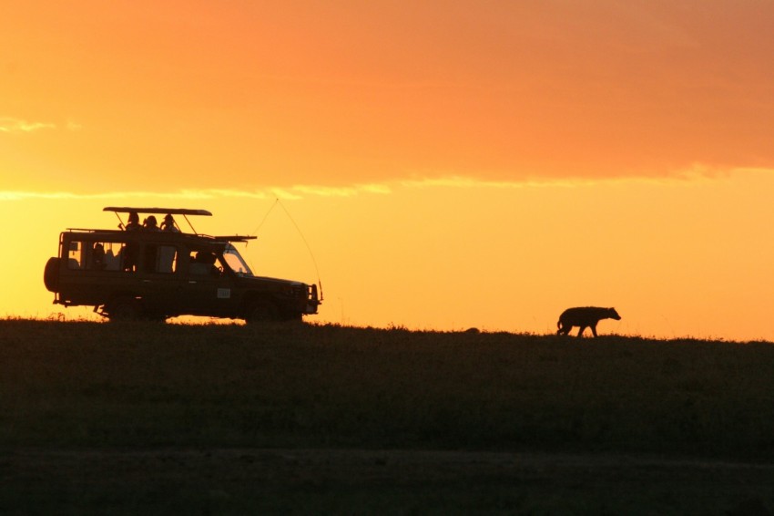 silhouette of suv under orange sky