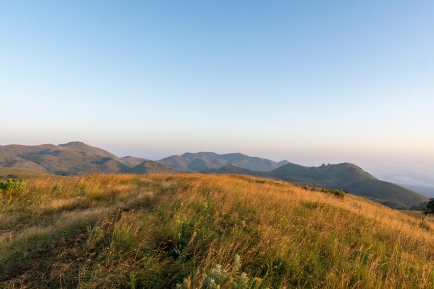 a grassy hill with mountains in the background