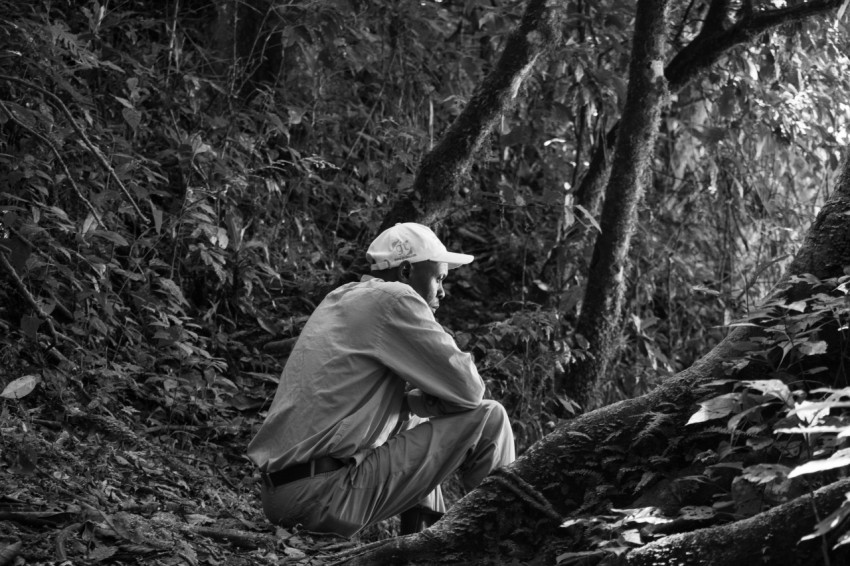 a man sitting on a log in the middle of a forest