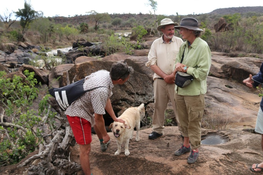 a group of people standing around a dog