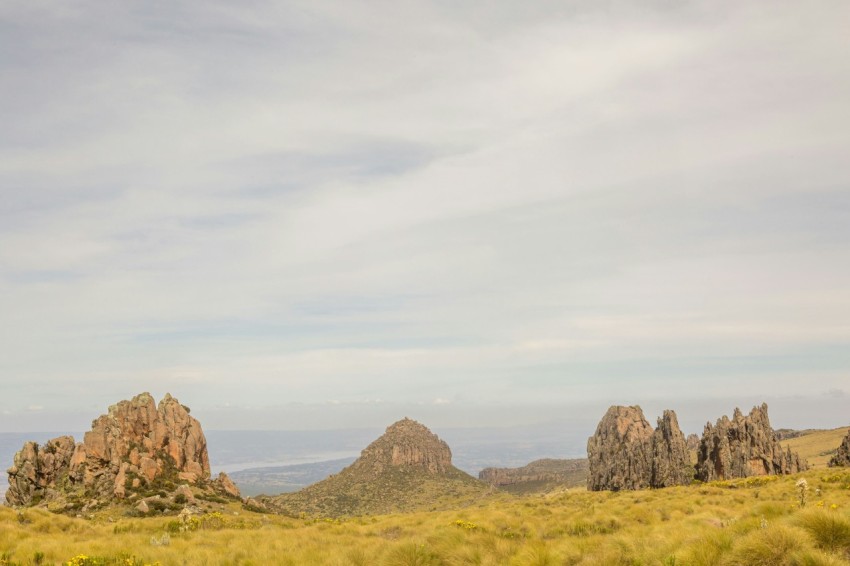 a grassy area with tall rocks in the distance