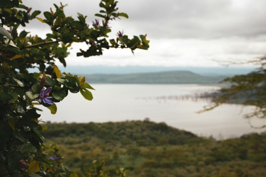 a view of a body of water from a hill