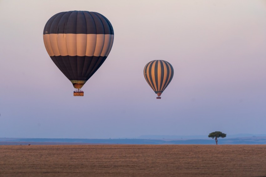 hot air balloons on the sky during daytime QM