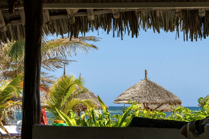 a group of straw huts