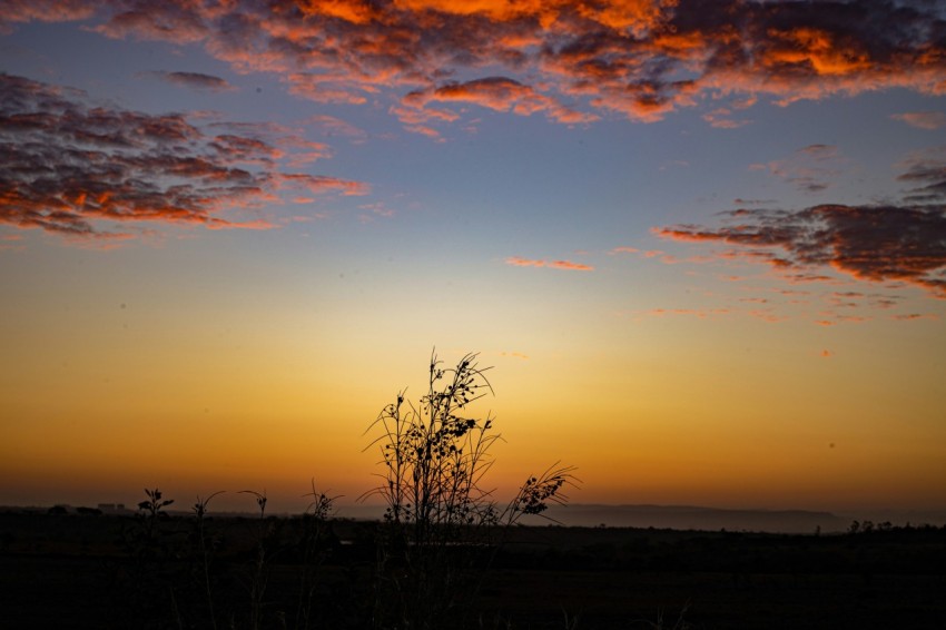 the sun is setting over the horizon of a field