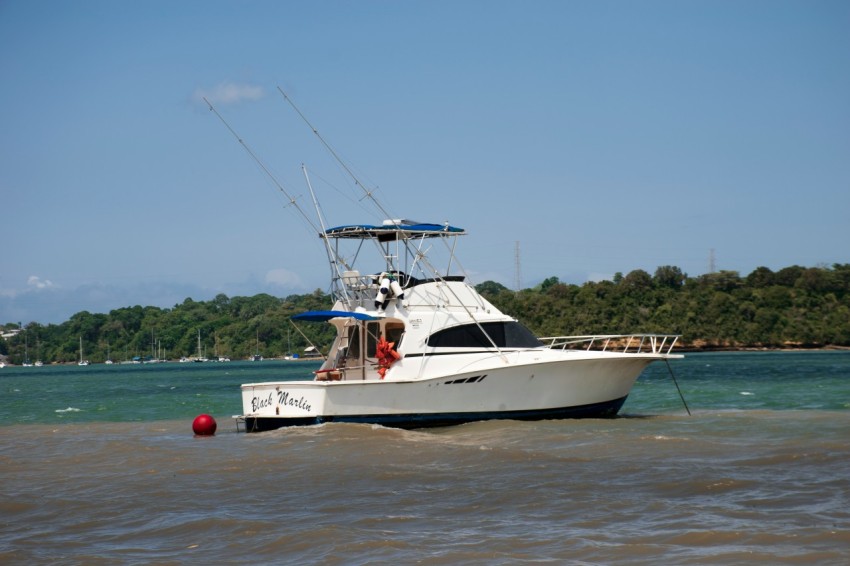 white and red boat on sea during daytime