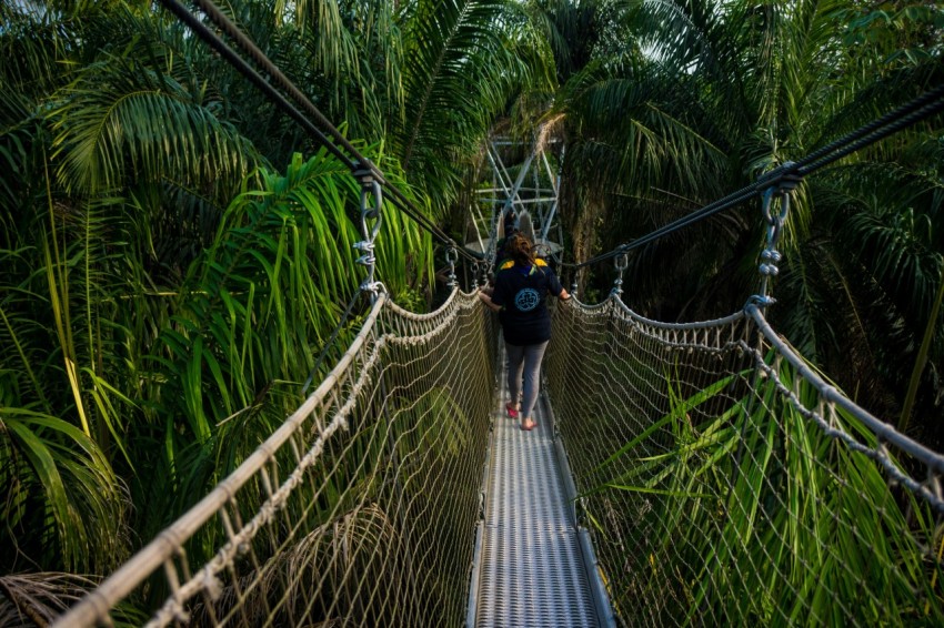 unknown person walking on hanging bridge hbNlzEtn