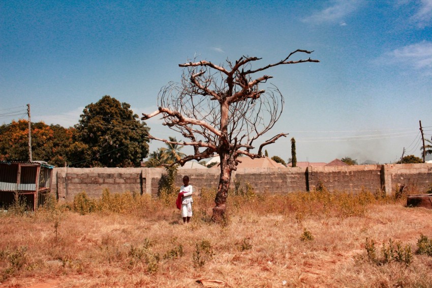 boy standing near bare tree during daytime