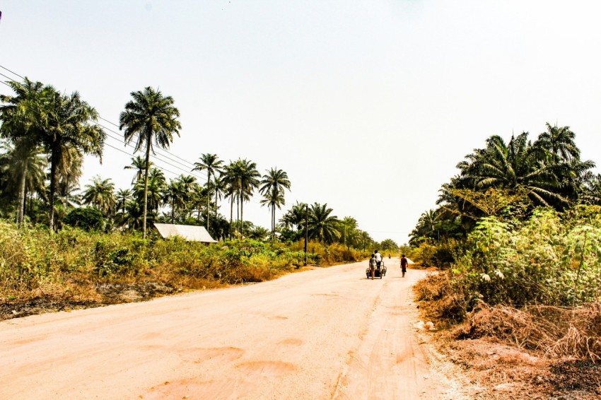 few people on road beside trees and green field under white skies