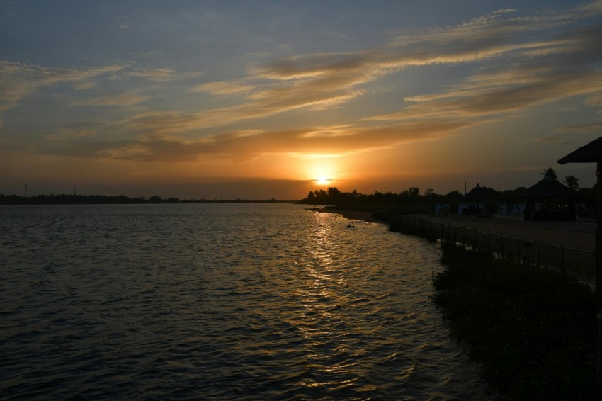 silhouette of trees near body of water during sunset