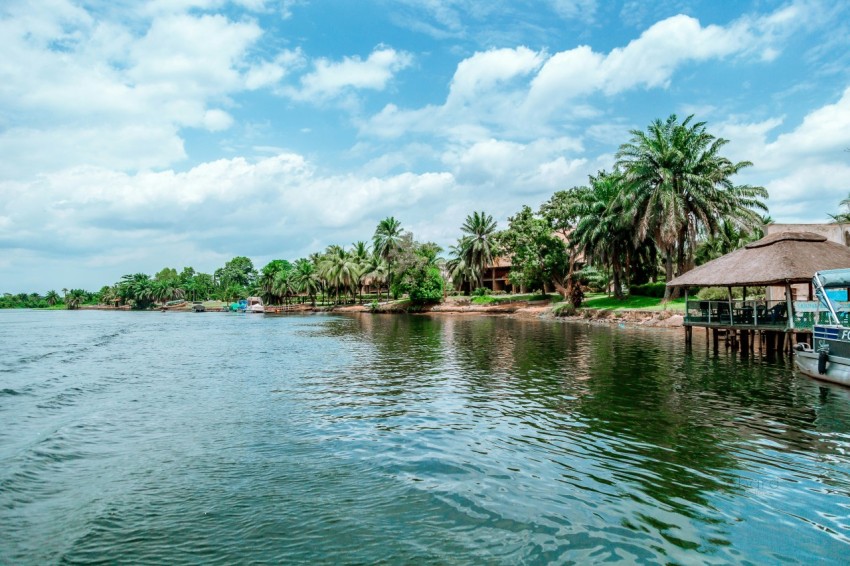 green trees beside body of water under blue sky during daytime xcw7t