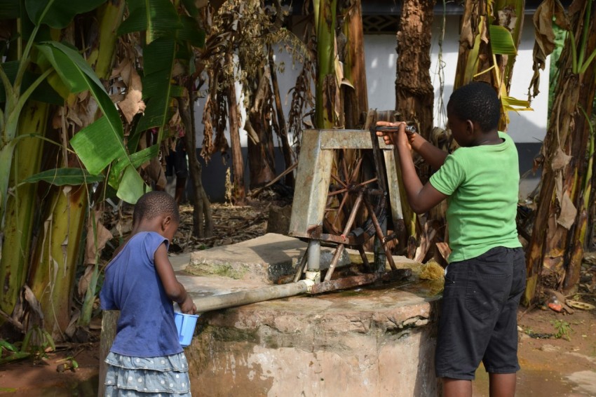 two young boys painting a picture in front of a banana tree 0Bi