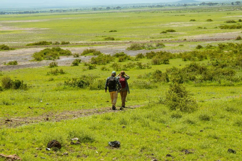 a couple of people walking across a lush green field