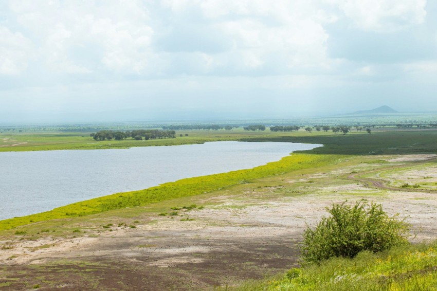 a large body of water sitting next to a lush green field