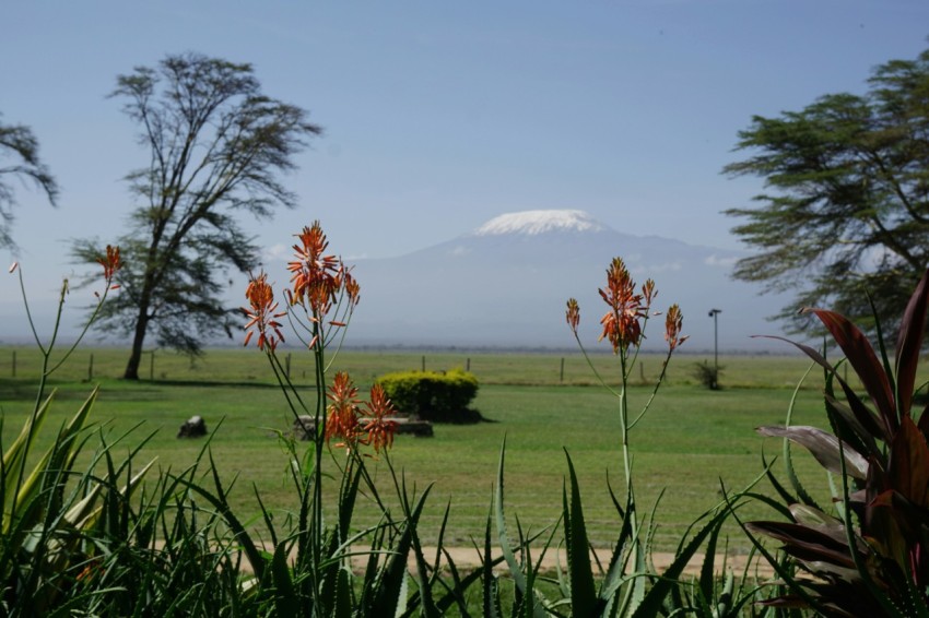 a view of a field with a mountain in the background a3FgTI