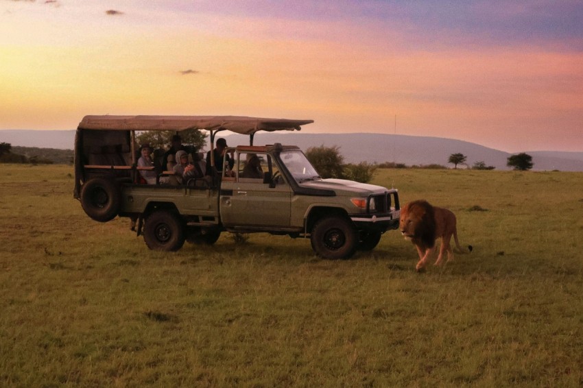 a safari vehicle with passengers and a lion RtZUgho6x