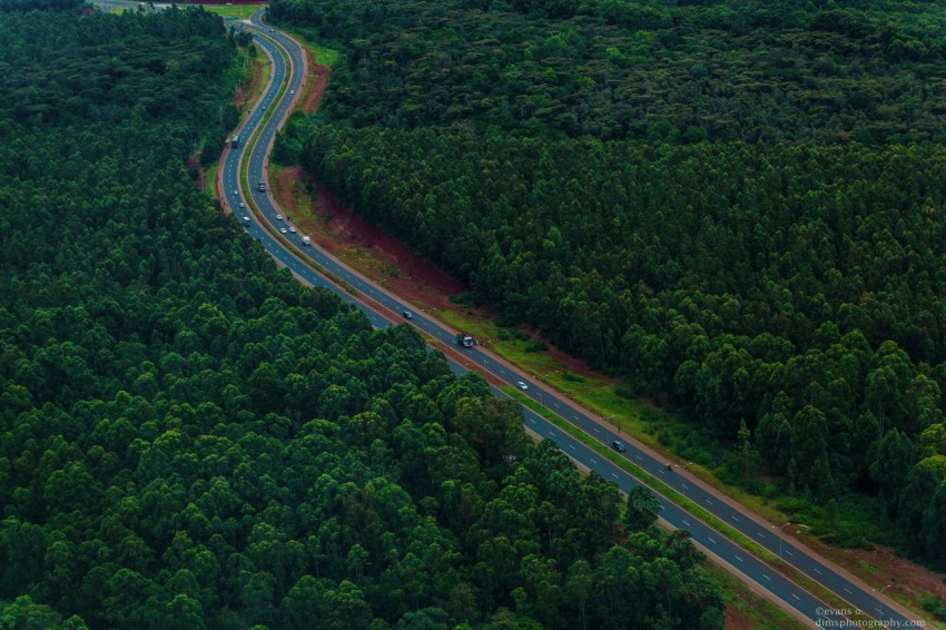 an aerial view of a highway in the middle of a forest