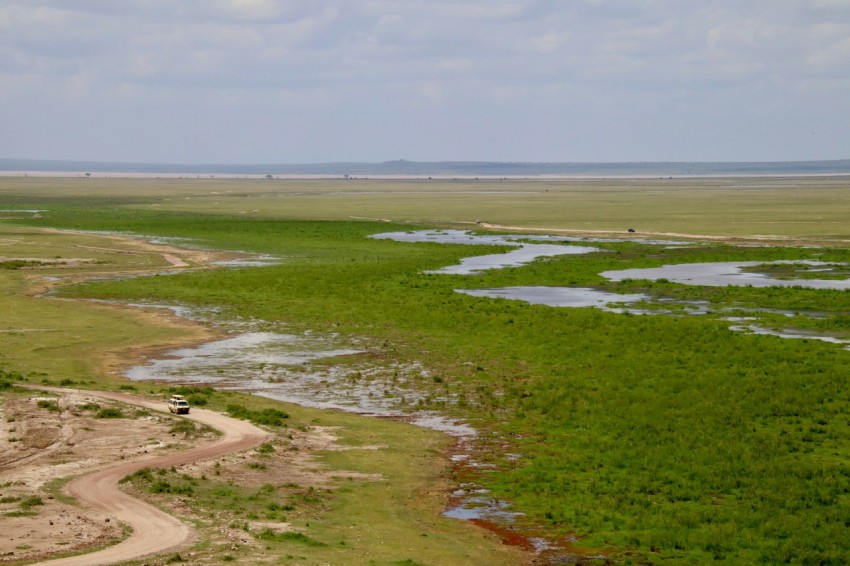 green grass field near body of water during daytime