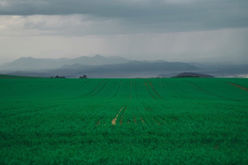 green grass field under cloudy sky during daytime xuU