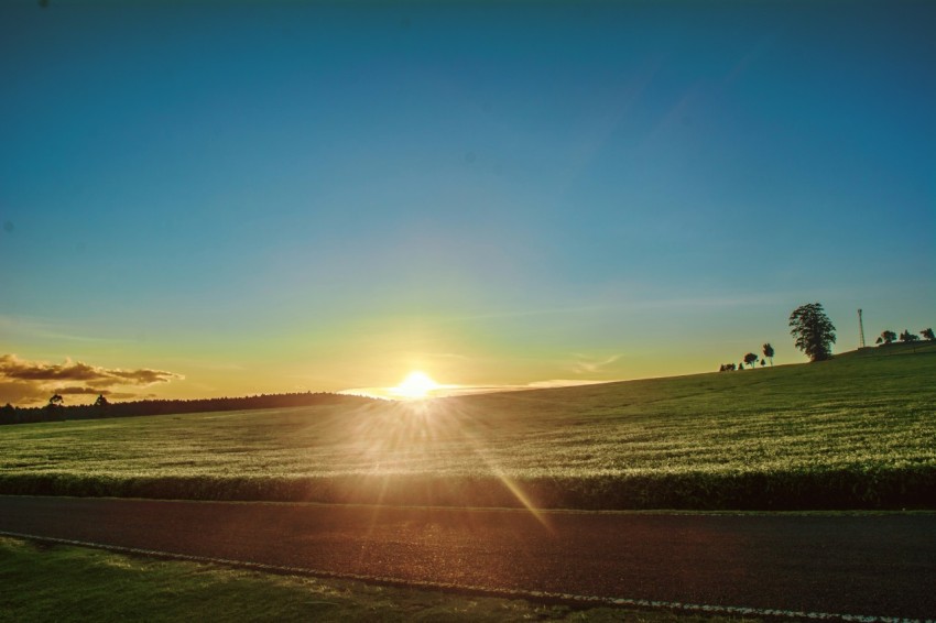 silhouette of people on green grass field during sunset