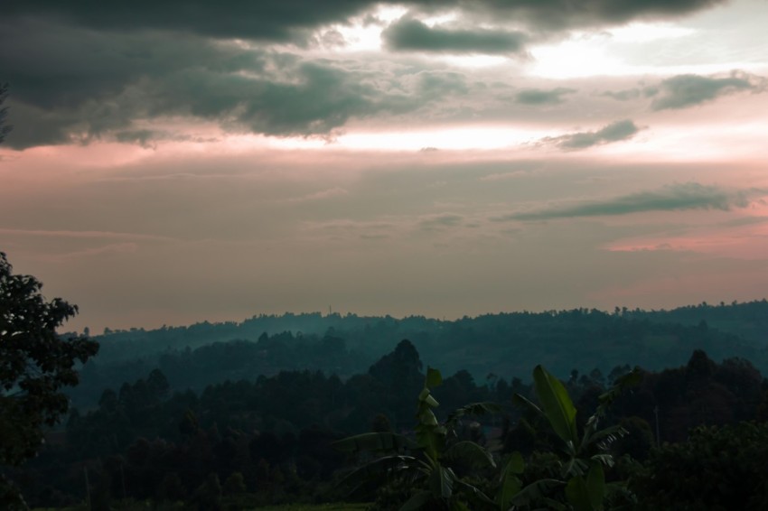 a view of a mountain range with trees in the foreground yp aeW N