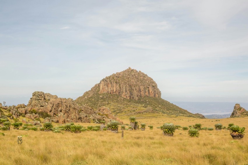 a grassy field with a large rock formation in the distance