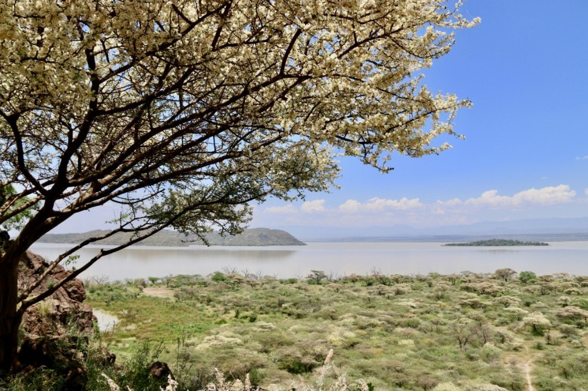 people sitting on grass field near body of water during daytime